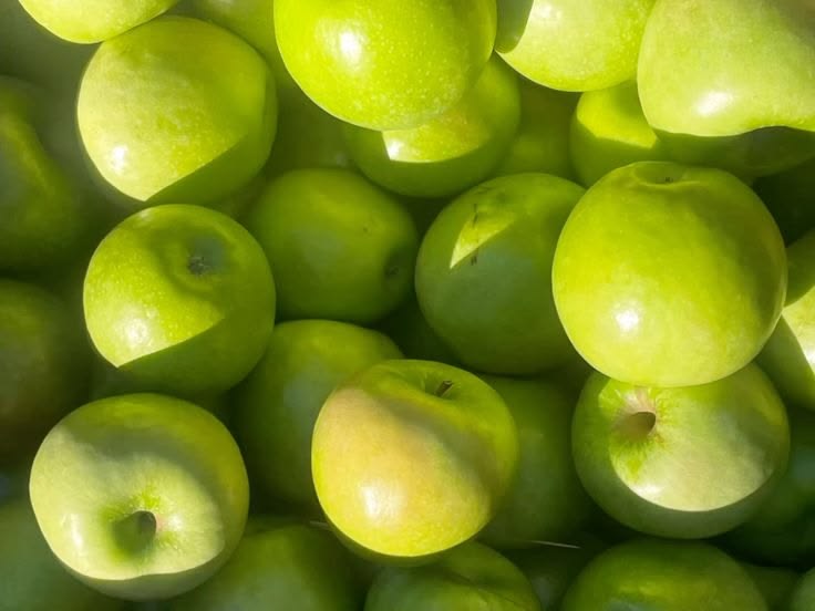 fruits everyday