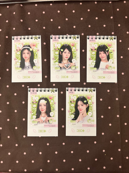 [Cream Bread K-pop Merch] ILLIT pink and green freebie card pack